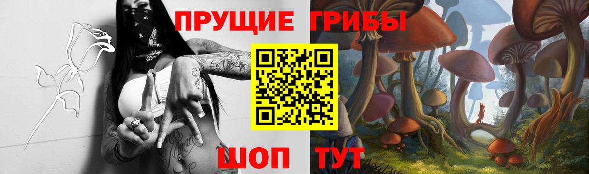 Псилоцибиновые грибы прущие грибы  Галлюциногенные грибы прущие грибы  Вход с VPN  Кемерово 